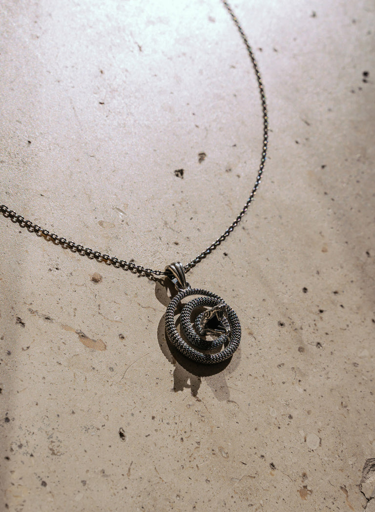 Silver Serpent Coil Necklace